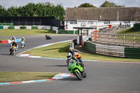 Lower Group Green Bikes